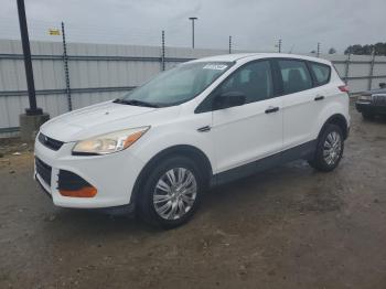  Salvage Ford Escape