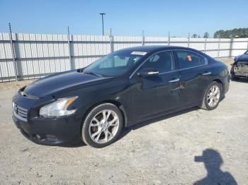  Salvage Nissan Maxima