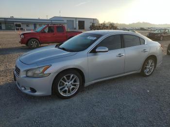  Salvage Nissan Maxima