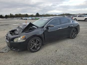  Salvage Nissan Maxima