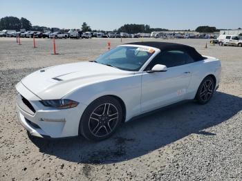  Salvage Ford Mustang