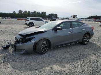  Salvage Nissan Maxima