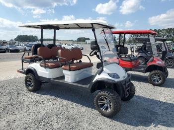  Salvage Golf Ride-in