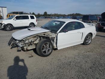  Salvage Ford Mustang