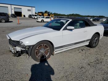  Salvage Ford Mustang