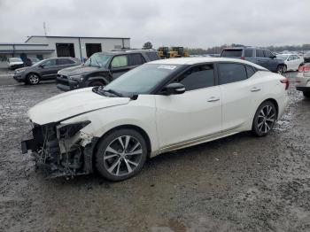  Salvage Nissan Maxima