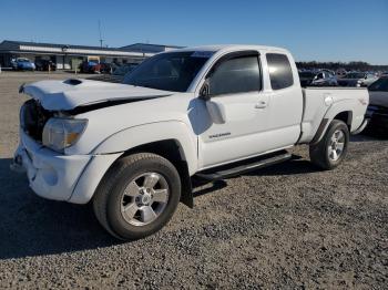  Salvage Toyota Tacoma