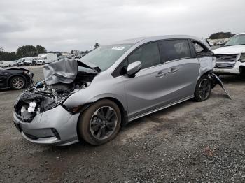  Salvage Honda Odyssey