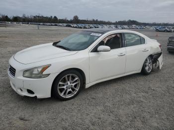  Salvage Nissan Maxima