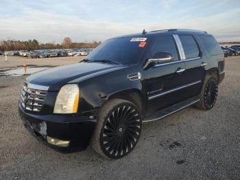  Salvage Cadillac Escalade