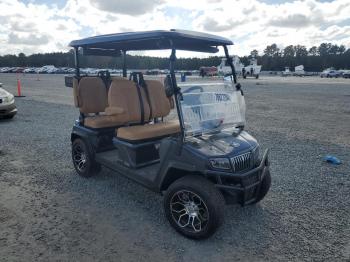  Salvage Other Golf Cart