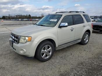  Salvage Ford Escape