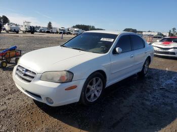  Salvage Nissan Maxima