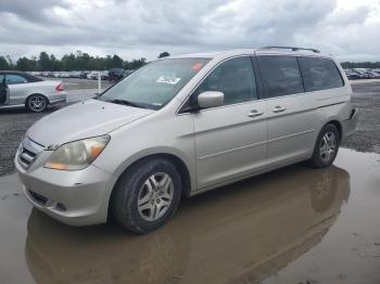  Salvage Honda Odyssey