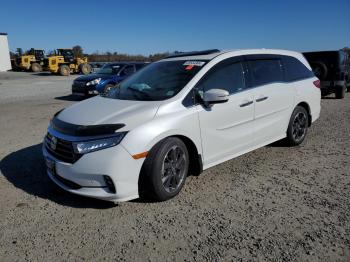  Salvage Honda Odyssey