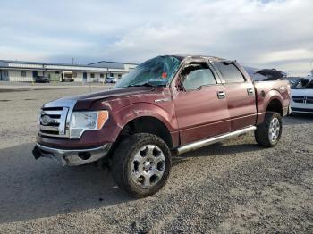  Salvage Ford F-150