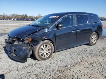  Salvage Honda Odyssey