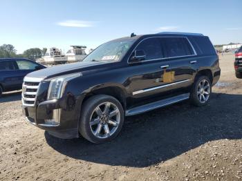  Salvage Cadillac Escalade