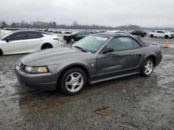  Salvage Ford Mustang