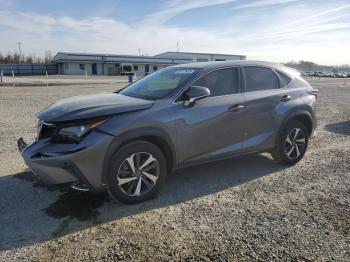  Salvage Lexus NX