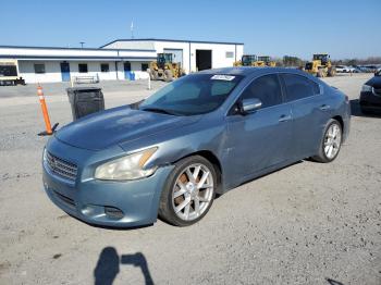  Salvage Nissan Maxima