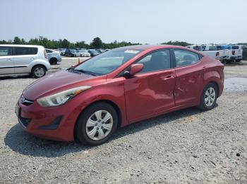  Salvage Hyundai ELANTRA