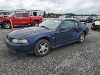  Salvage Ford Mustang