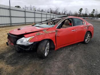  Salvage Nissan Maxima