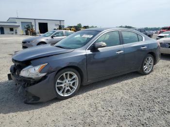  Salvage Nissan Maxima