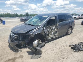  Salvage Honda Odyssey