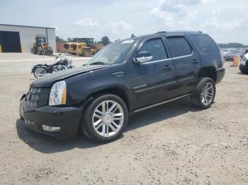  Salvage Cadillac Escalade