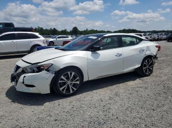  Salvage Nissan Maxima