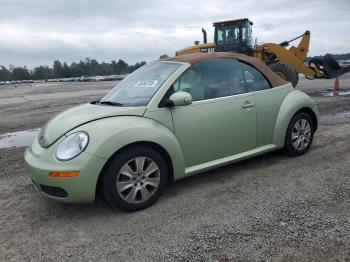  Salvage Volkswagen Beetle