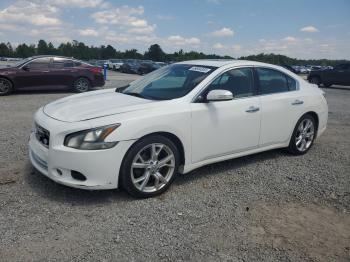  Salvage Nissan Maxima