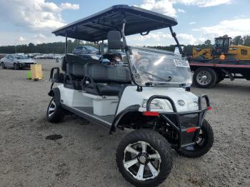  Salvage Golf Golf Cart