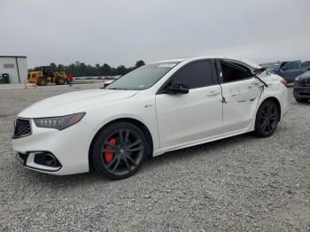  Salvage Acura TLX