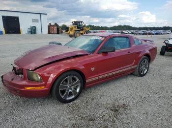  Salvage Ford Mustang