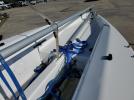 Melg Sails Only Image 3