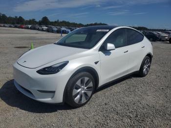  Salvage Tesla Model Y