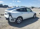 Tesla Model Y Image 12