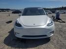 Tesla Model Y Image 5
