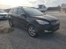 Ford Escape Sel Image 10