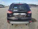 Ford Escape Sel Image 2