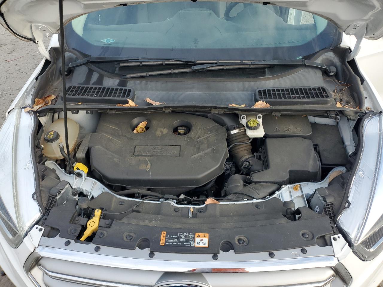 Ford Escape Se Image 12