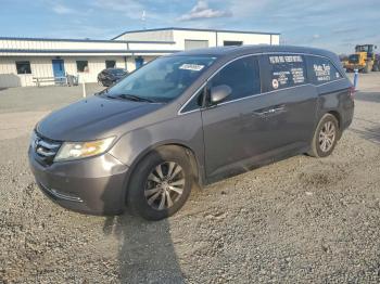  Salvage Honda Odyssey