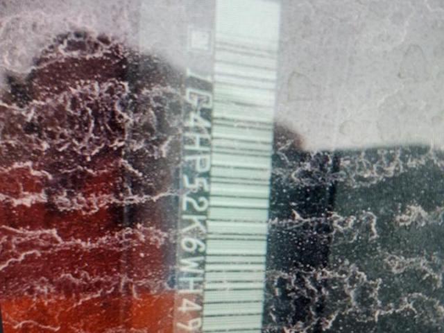 Buick LeSabre Custom Image 4