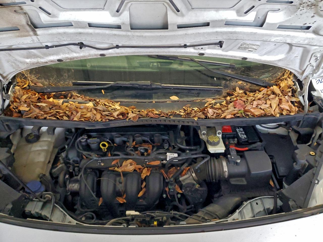 Ford Transit Xl Image 3