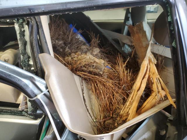 Ford Focus Zxw Image 7