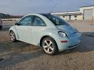 Volkswagen Beetle Image 5