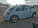 Volkswagen Beetle Image 2